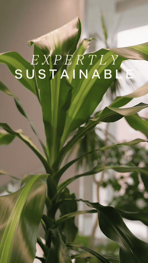 Adora eco cleaning brand message ‘Expertly Sustainable’ highlighting sustainable, refillable cleaning products