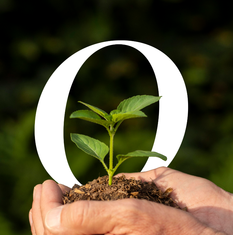 🌳 Refill to Reforest: How Every Clean Helps Plant a Tree