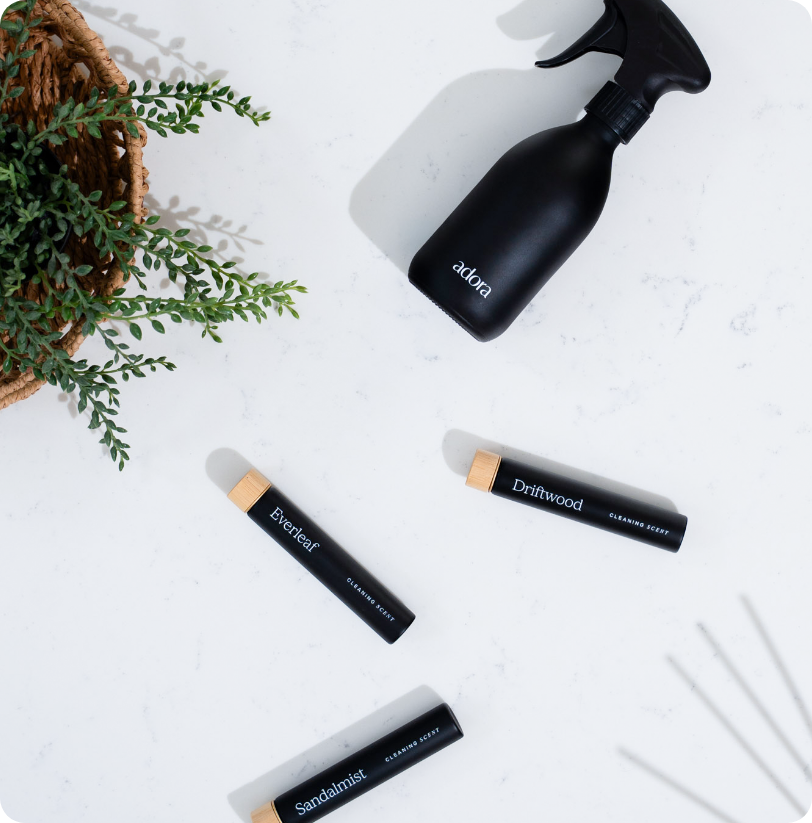 Get Started Cleaning Kit